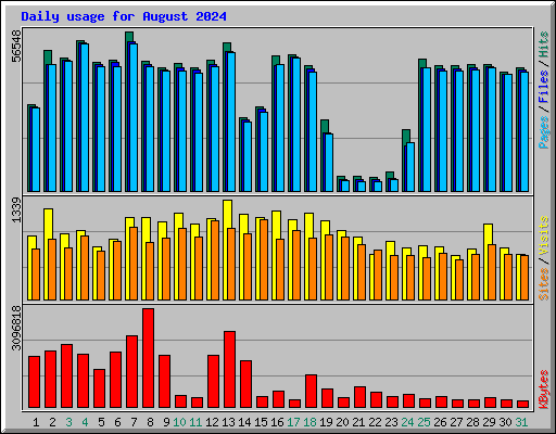 Daily usage for August 2024