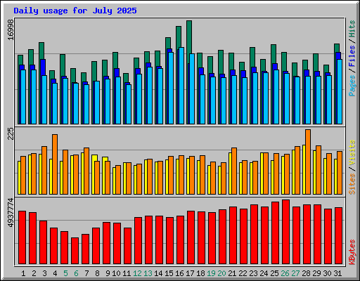 Daily usage for July 2025
