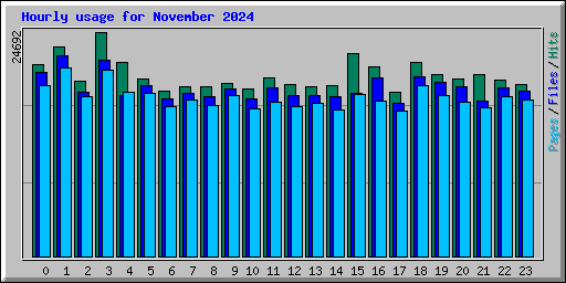 Hourly usage for November 2024