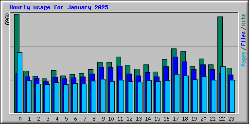 Hourly usage for January 2025