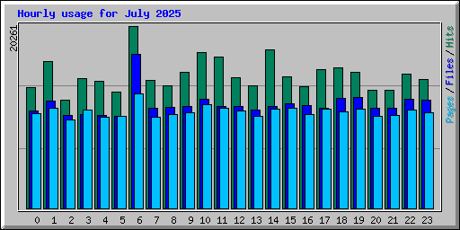 Hourly usage for July 2025