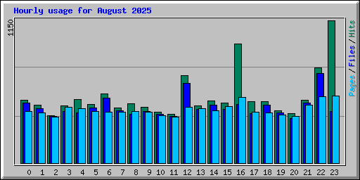 Hourly usage for August 2025