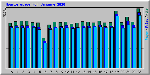 Hourly usage for January 2026
